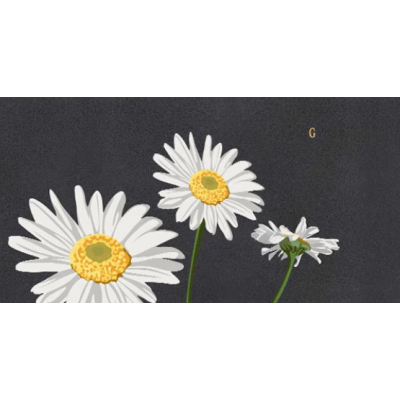 Скатертина з ПВХ із малюнком, кухонне покриття "Gentle Daisy", 60*90 см Скатертина з ПВХ із малюнком, кухонне покриття "Gentle Daisy", 60*90 см